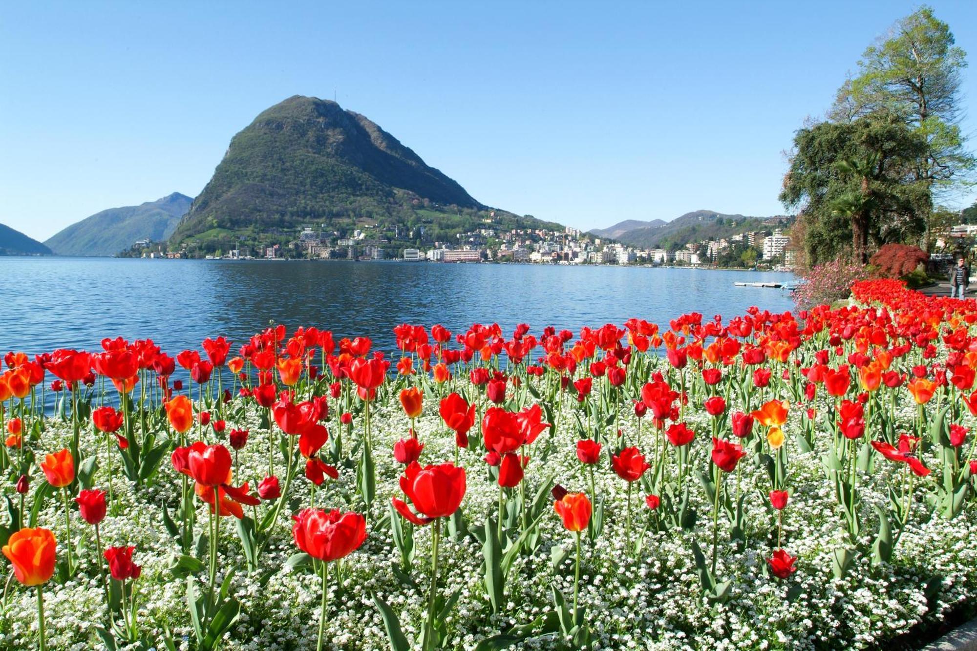 Ferienhaus In Lugano - Happy Rentals Eksteriør billede